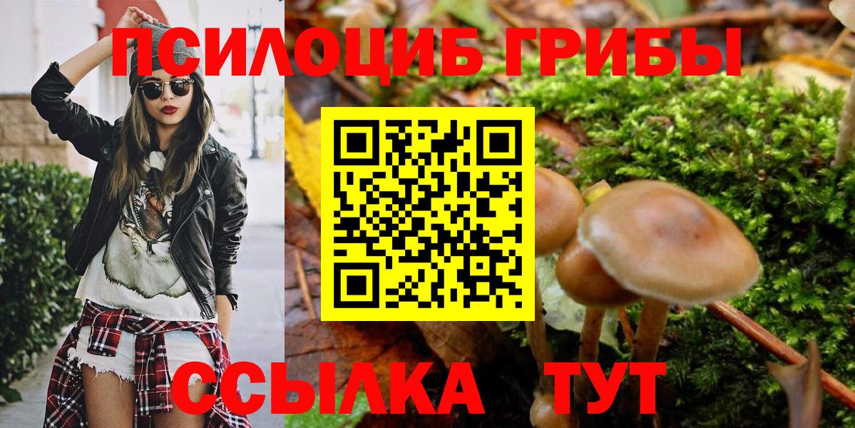 Псилоцибиновые грибы прущие грибы  Псилоцибиновые грибы ЛСД  Ростов-на-Дону  Вход с VPN 