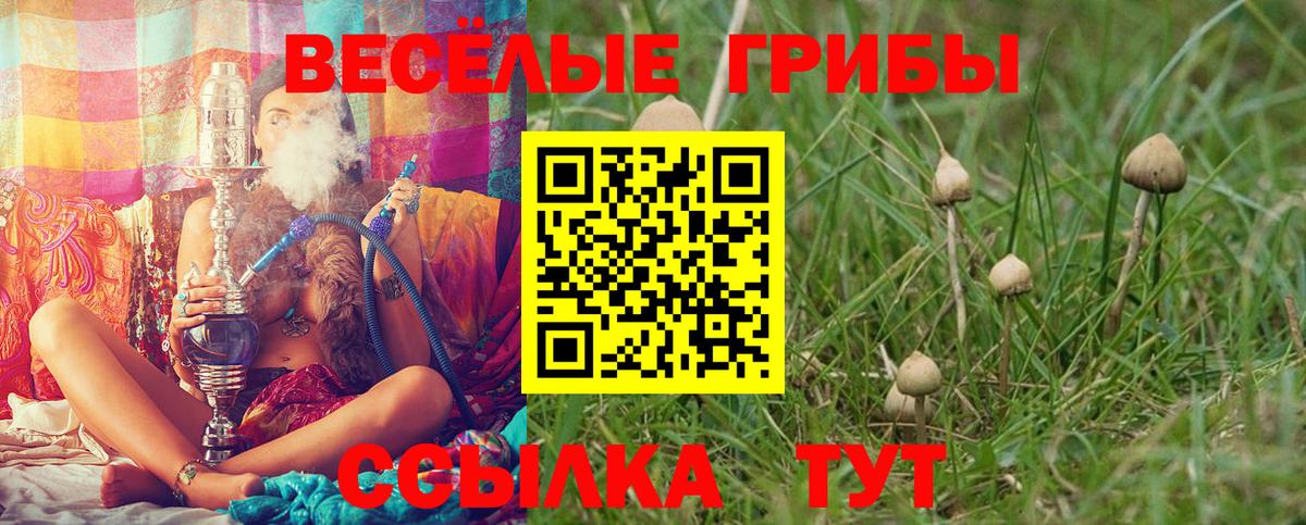 Галлюциногенные грибы Magic Shrooms Ростов-на-Дону